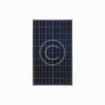 Longi Solar - Image 3